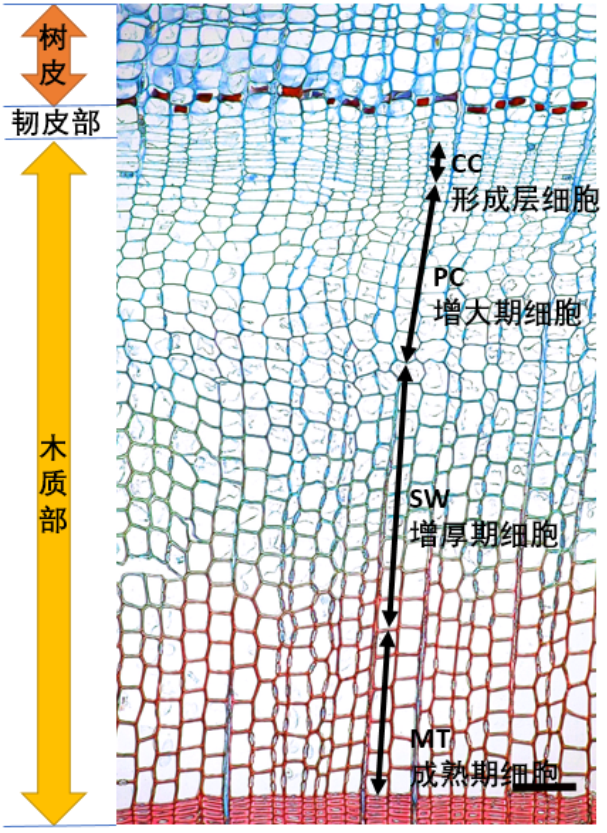 微信截图_20200806103939