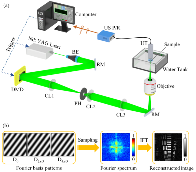 biomedical optics express bmoe