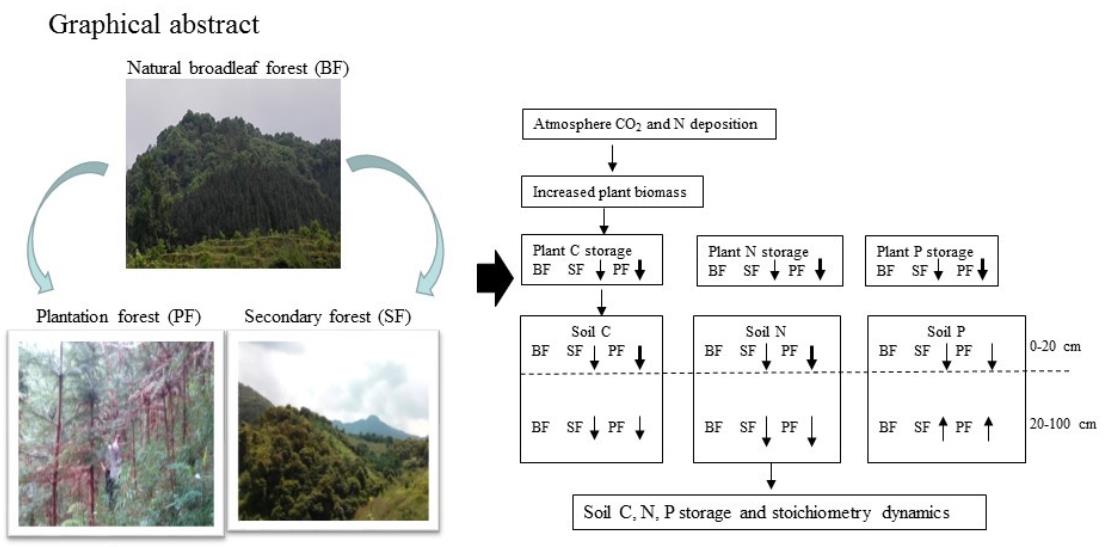图1 原生阔叶林(BF)、次生林(SF)和人工林(PF)植被和土壤碳氮磷的变化