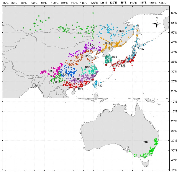 图1. 绶草(Spiranthes sinensis)开花物候的16个分区。