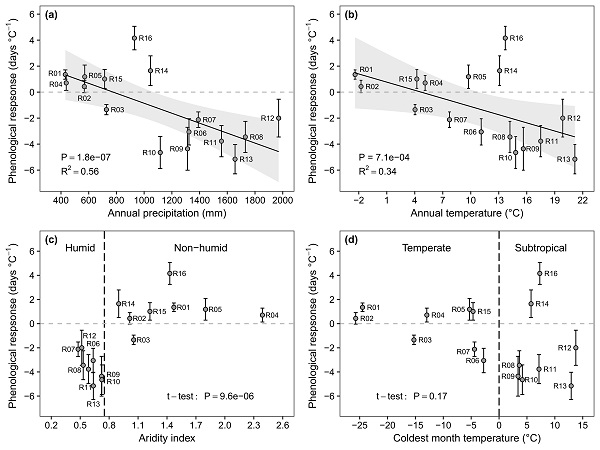 图2. 绶草开花物候温度敏感性的种内变异性:(a)物候温度敏感性与年降水量显著相关;(b)物候温度敏感性与年均温显著相关;(c)物候温度敏感性在湿润区与非湿润区之间存在显著差异;(d)物候温度敏感性在温带与亚热带气候之间不存在显著差异。