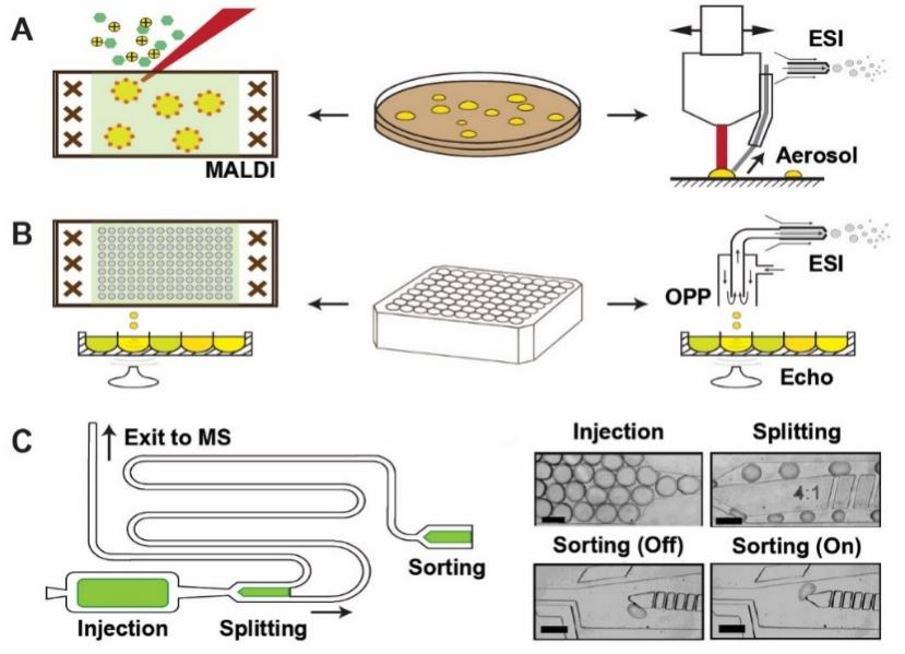 Curr Opin Biotechnol 菌株高通量质谱筛选方法综述中国科学院广州分院