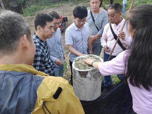 3.现场探讨矮化嫁接技术.jpg